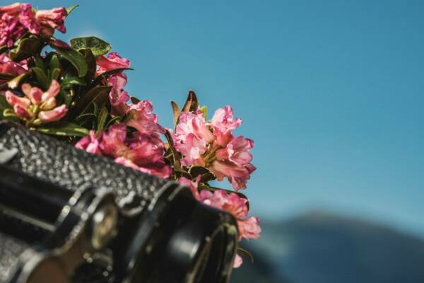 Appartement Mayrhofen